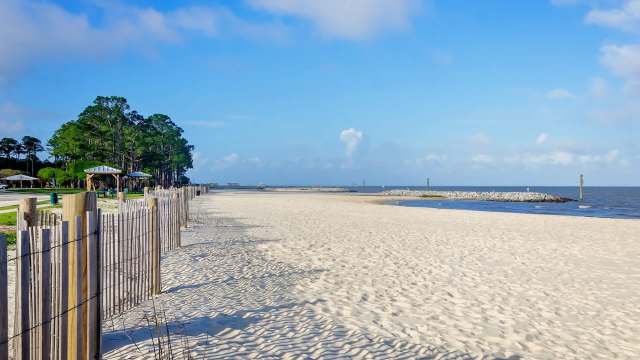 A sandy beach with a wooden fence, trees, and a view of a calm ocean under a blue sky.