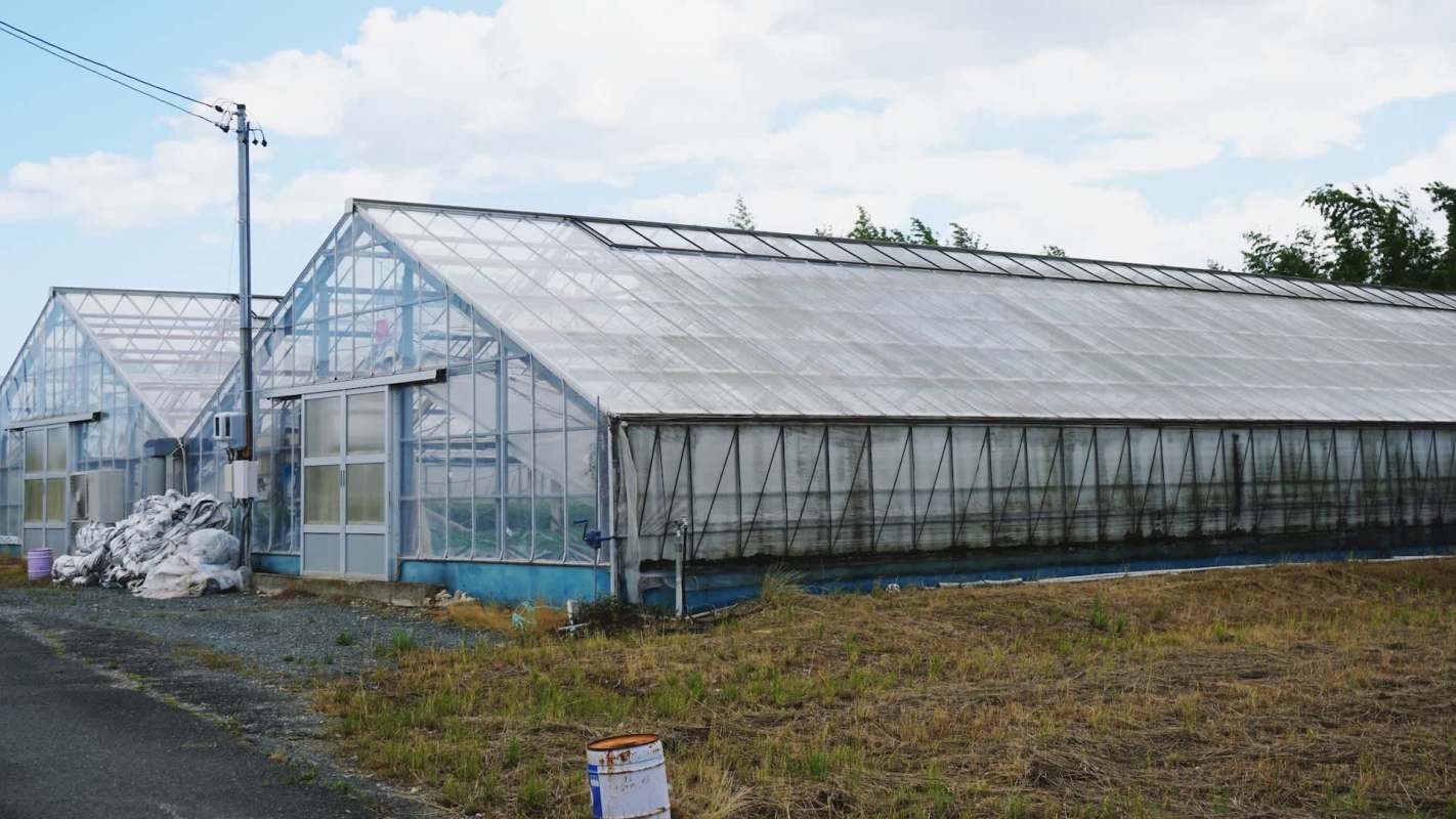 Two greenhouses.