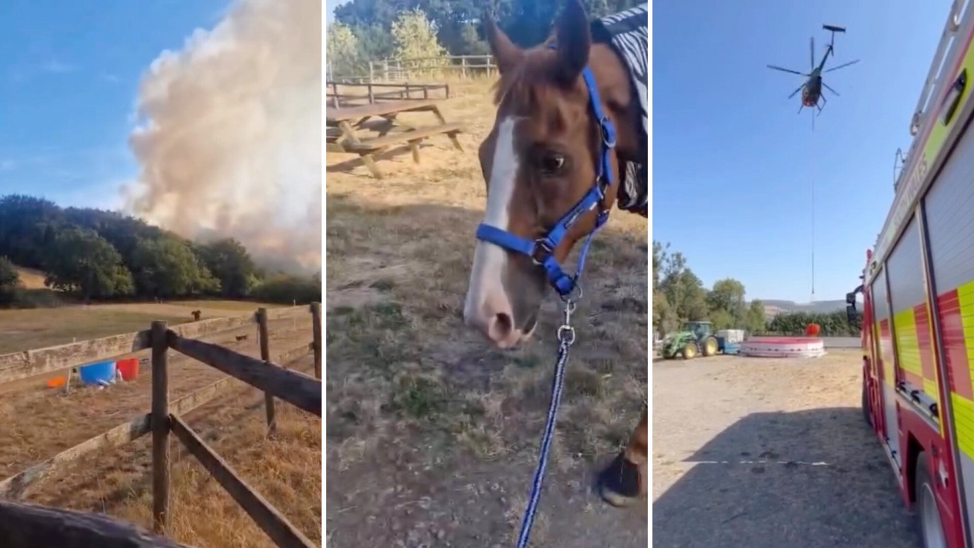 Smoke rises from a wildfire near a grassy area with a horse and emergency responders nearby.