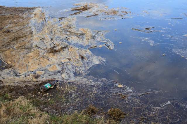 Polluted water.
