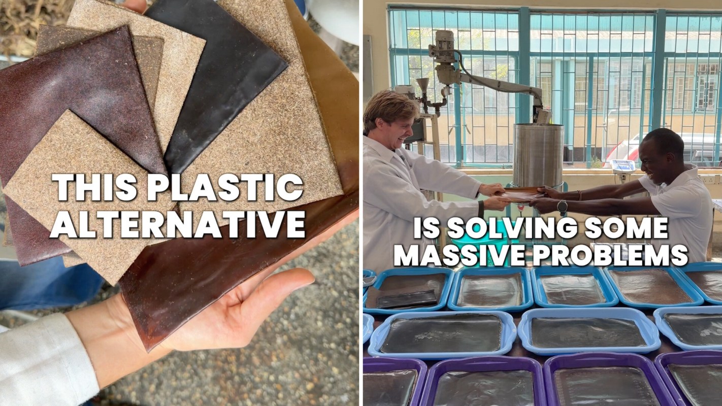 Samples of a plastic alternative.