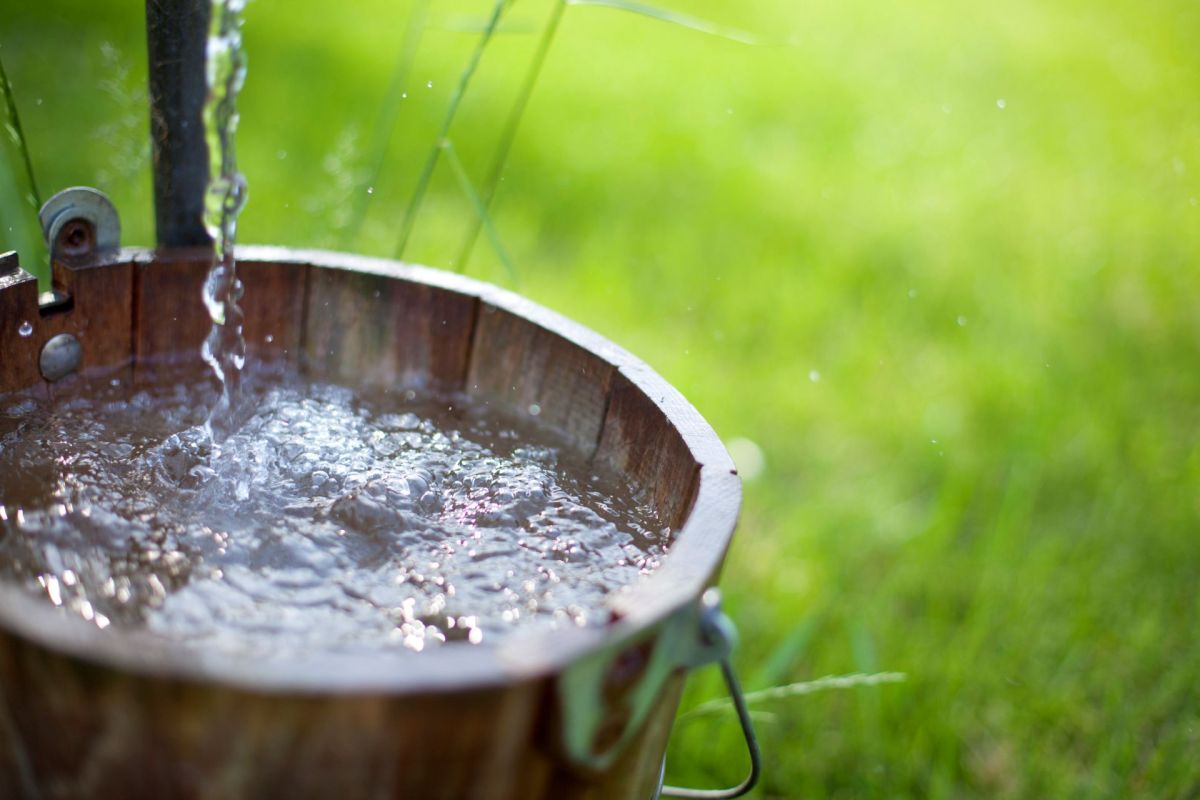 A bucket of well water.