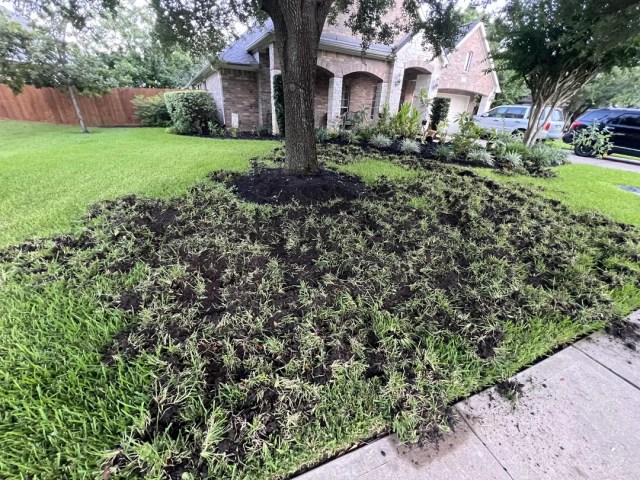 A ripped up lawn.