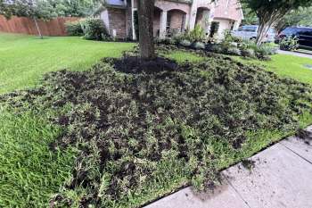 A ripped up lawn.