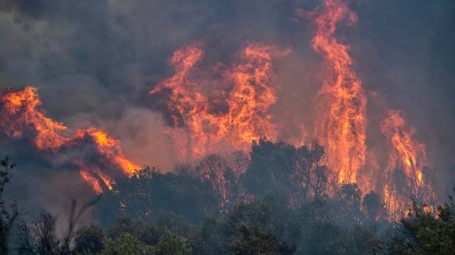 Flames engulf trees as smoke fills the sky during a wildfire.