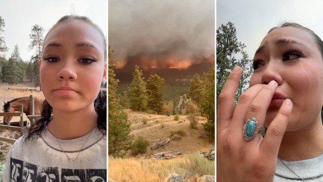A woman stands outdoors with horses nearby, while smoke and flames rise in the background.