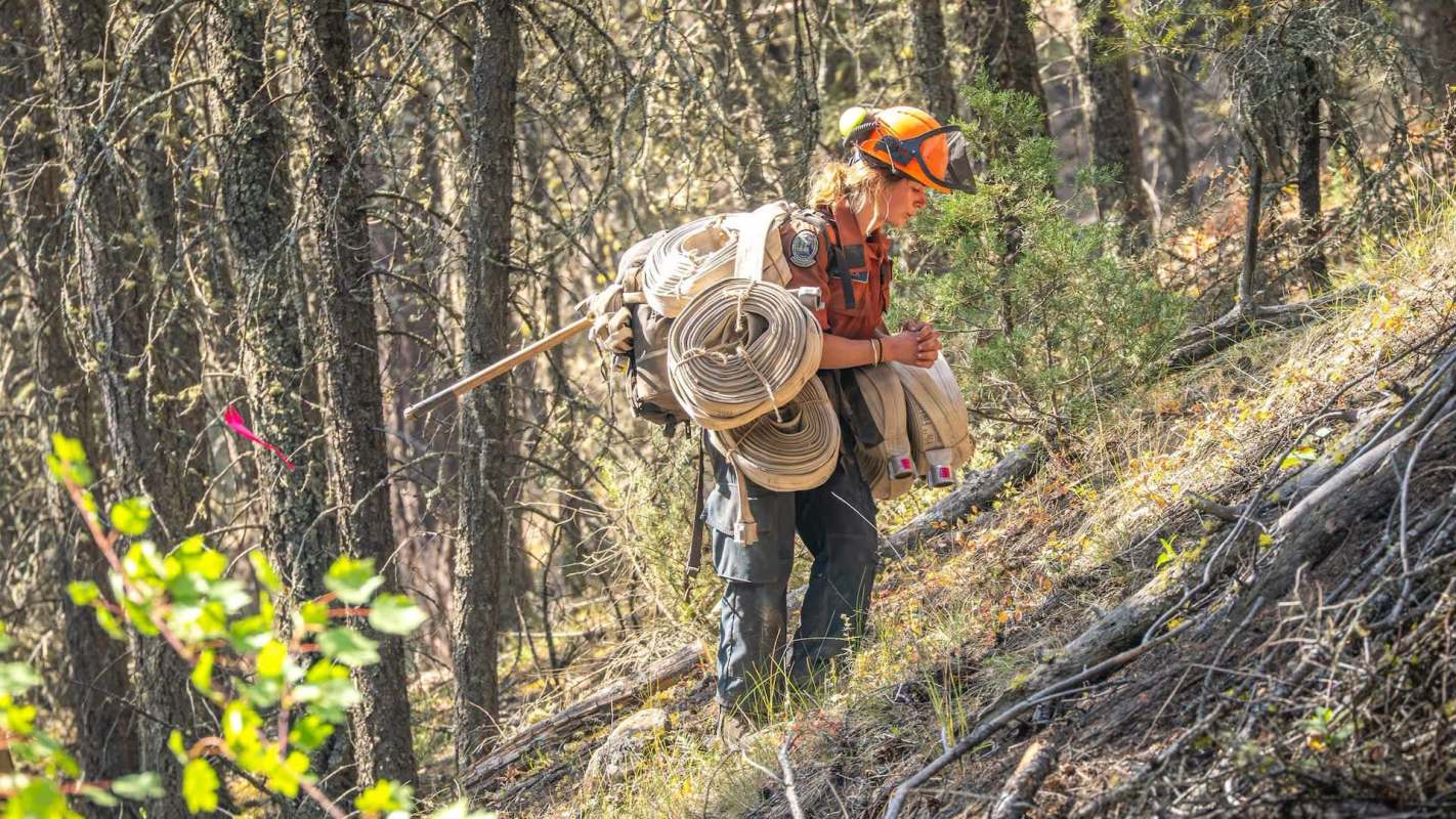 A person in a forest carries climbing gear and ropes while standing on a sloped terrain.