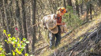 A person in a forest carries climbing gear and ropes while standing on a sloped terrain.