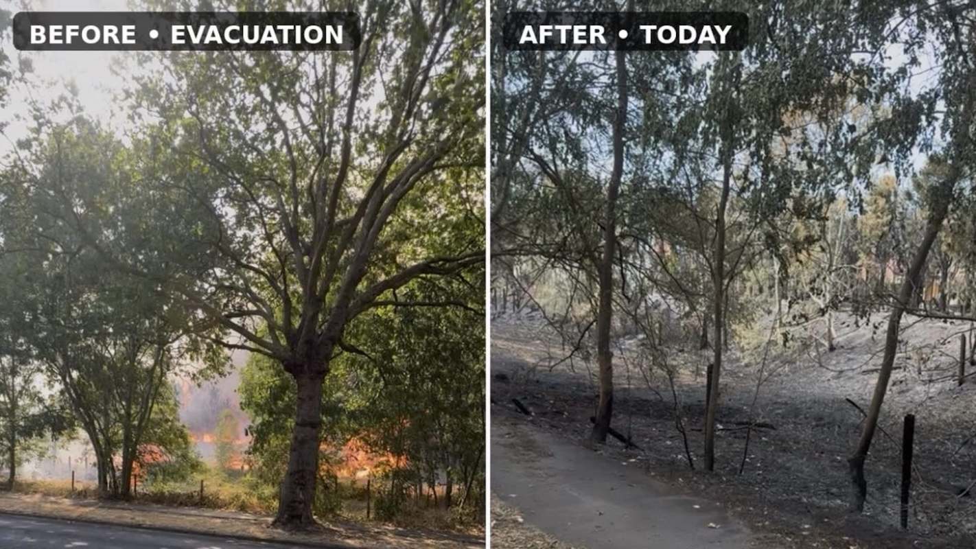 A comparison of a landscape before and after wildfires, showing green trees and burnt vegetation.