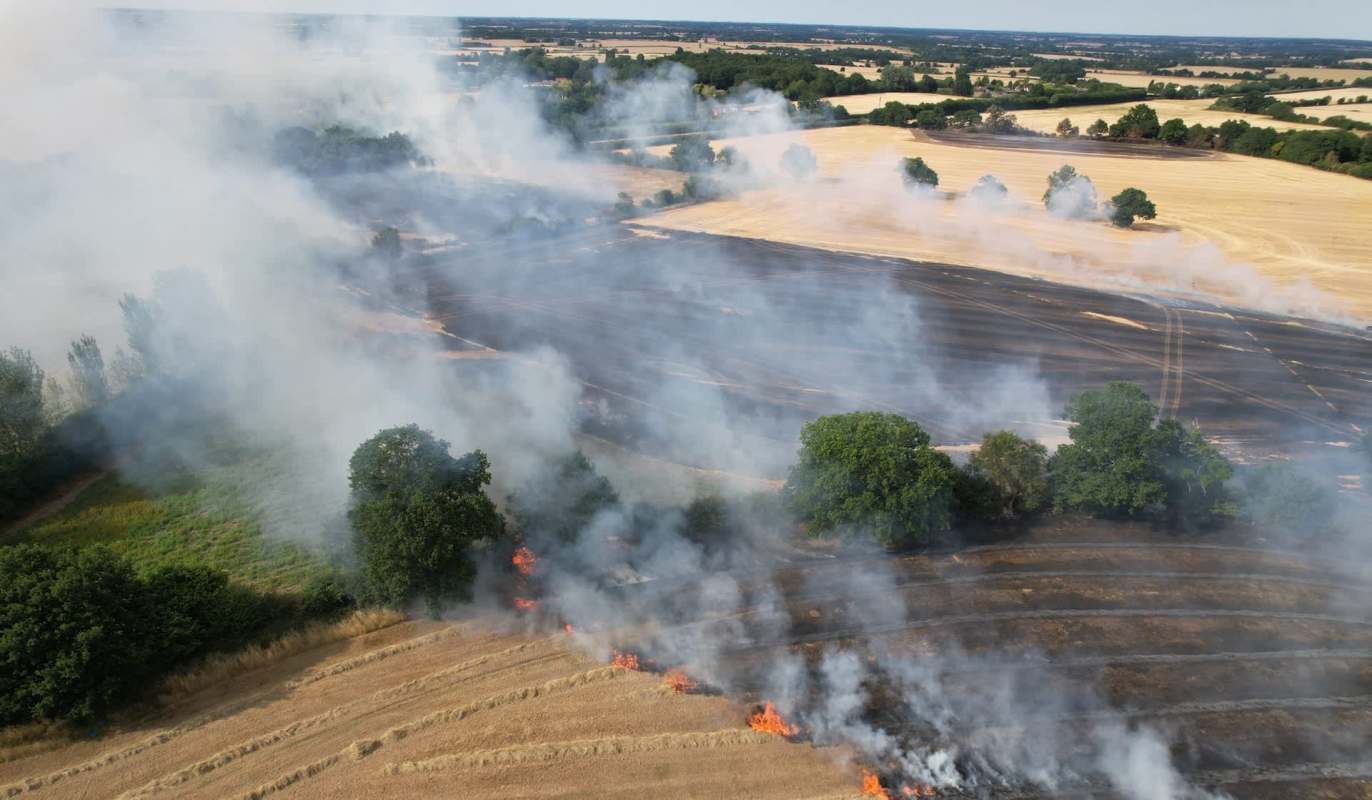 A landscape with smoke and fire affecting grassy fields and trees.