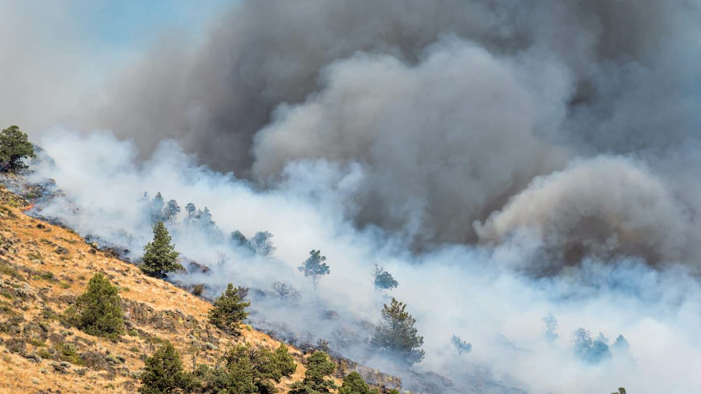 Smoke and haze obscure a hillside with trees, indicating the presence of a wildfire.
