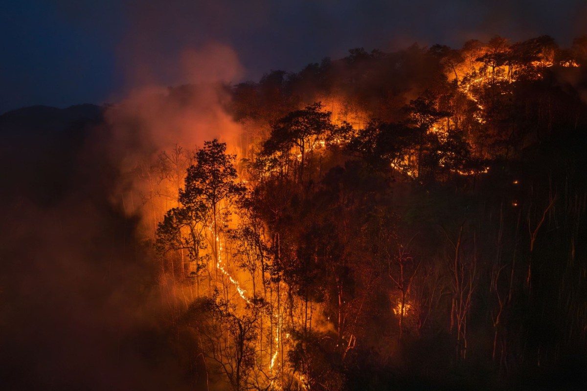 A wildfire.