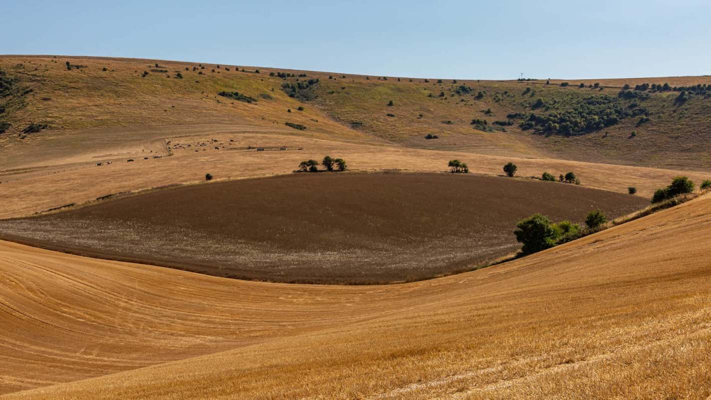 Rolling brown fields.