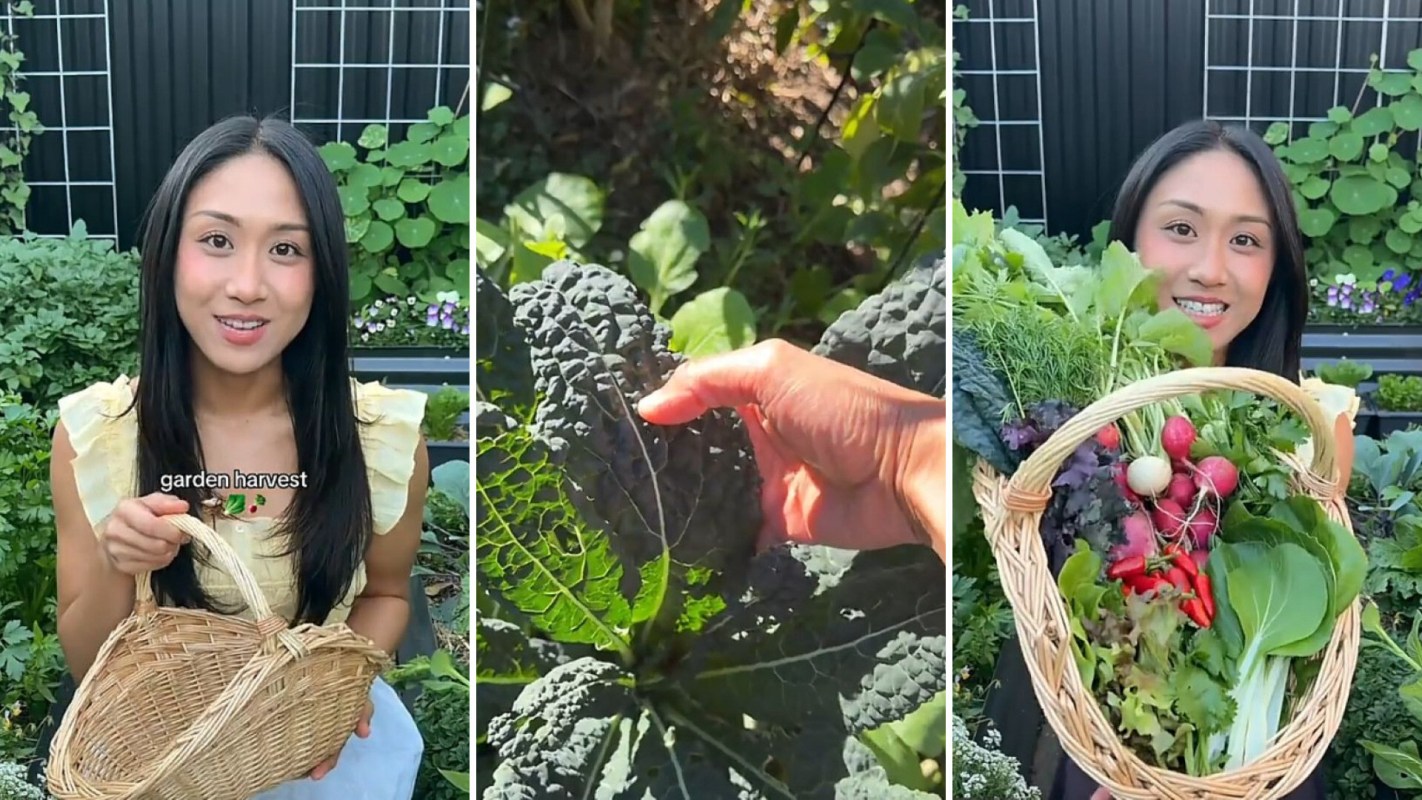 A gardener holding a basket of freshly harvested vegetables.