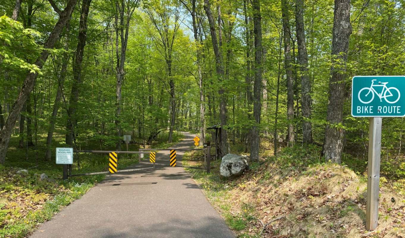 A bike route and trees near Forest Lake.