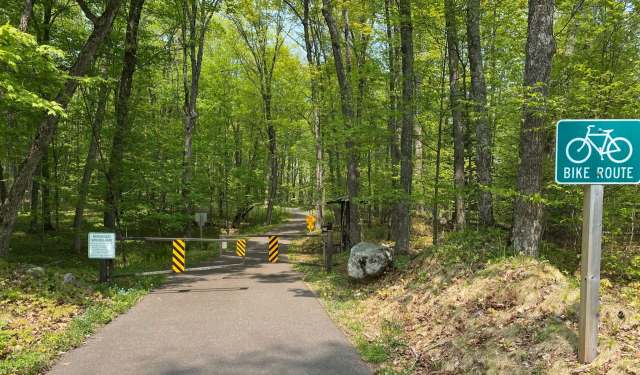 A bike route and trees near Forest Lake.
