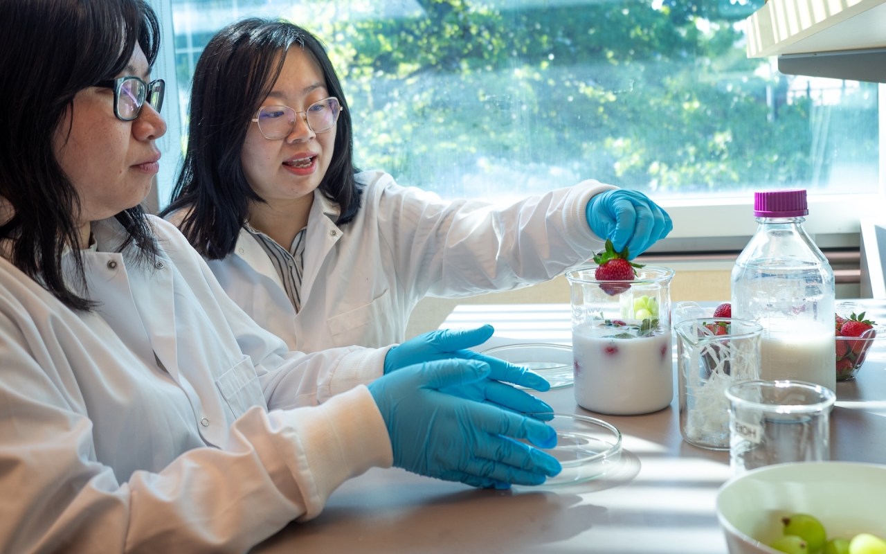 Two women in lab coats and gloves work together at a table with various containers of food and ingredients.