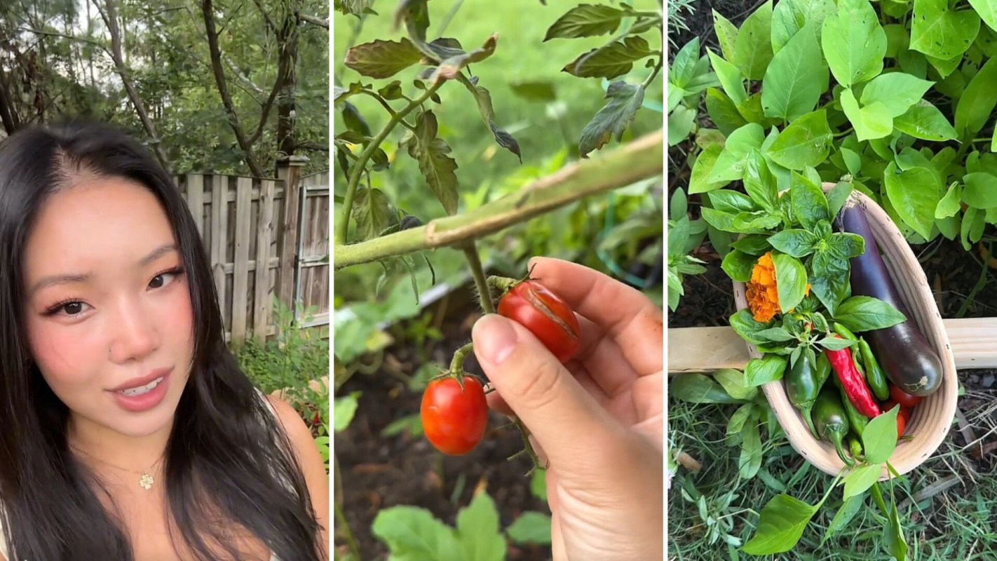 A woman harvesting her garden.