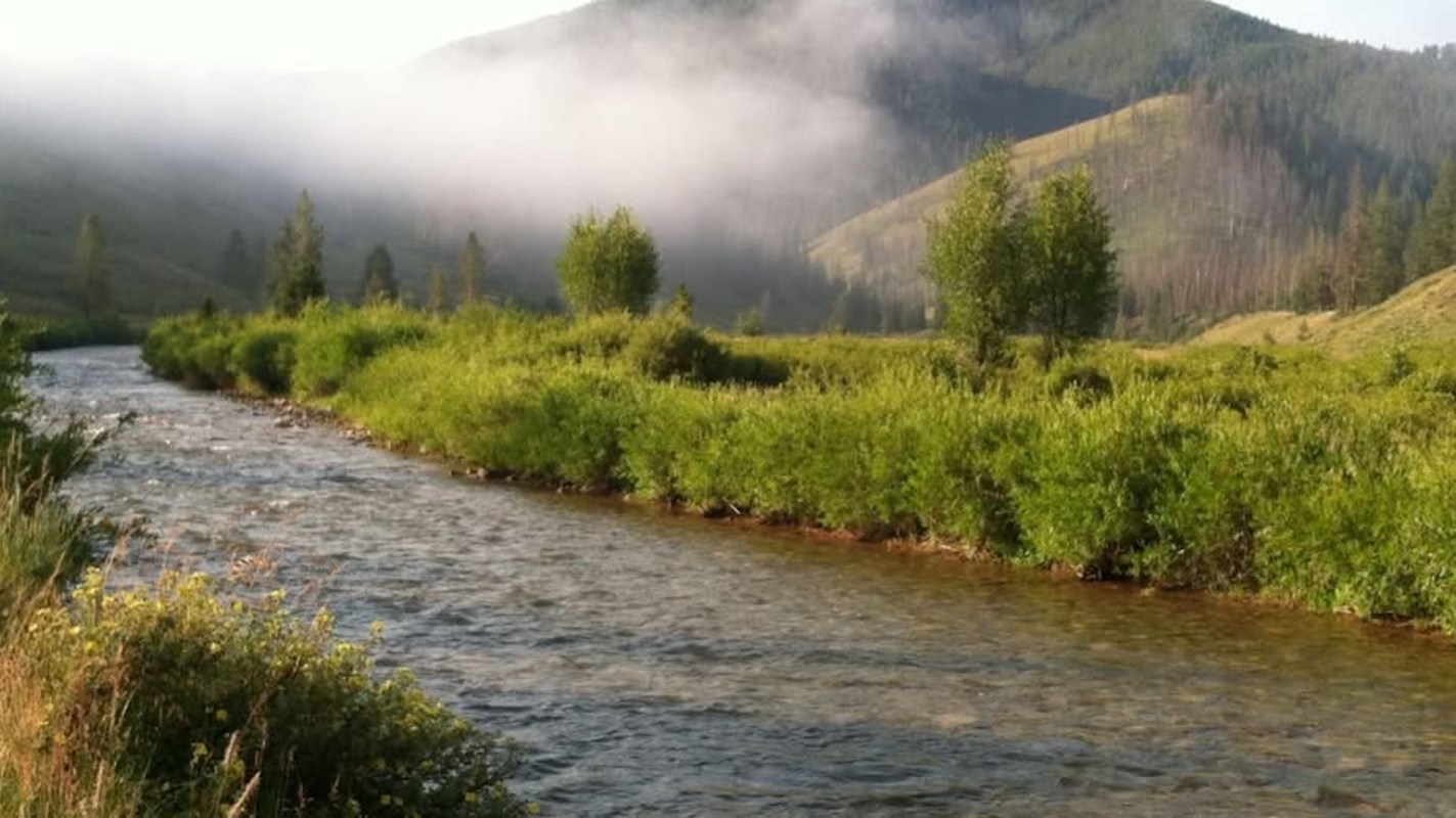 A river flows through a green landscape with trees and fog-covered mountains in the background.