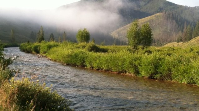 A river flows through a green landscape with trees and fog-covered mountains in the background.
