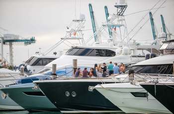 A group of people socializes on a dock among several large yachts.