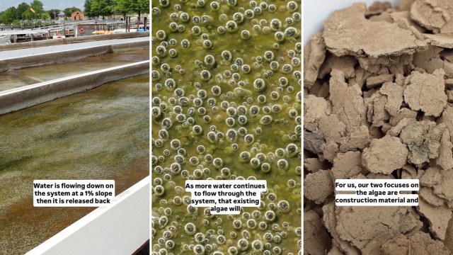 A series of images showing flowing water in a system, bubbling algae, and dried algae material.