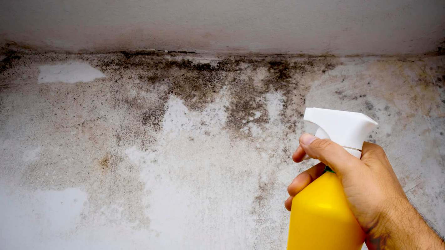 A hand holding a yellow spray bottle in front of a wall with mold and discoloration.
