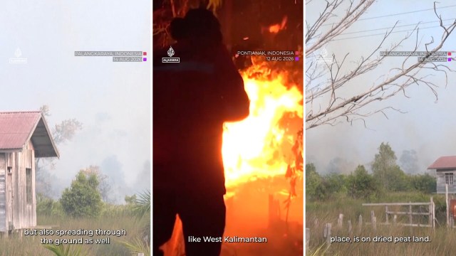 A smokey landscape with a wooden house, showing signs of a nearby fire and charred vegetation.