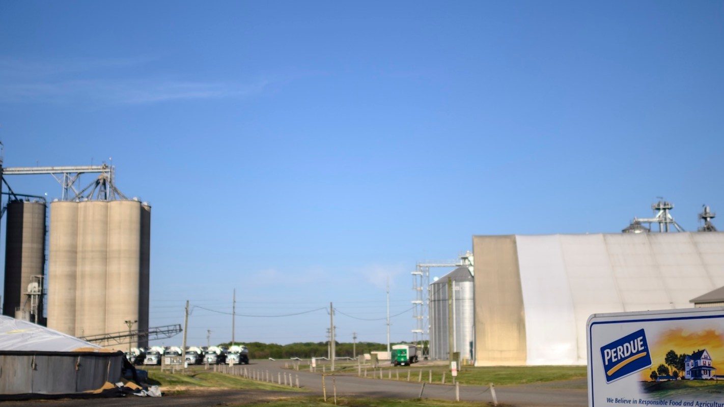 A farm with silos, trucks, and a sign for Perdue.