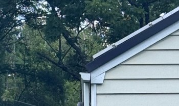 A corner of a house with a sloped roof, surrounded by trees.