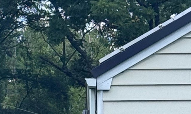A corner of a house with a sloped roof, surrounded by trees.