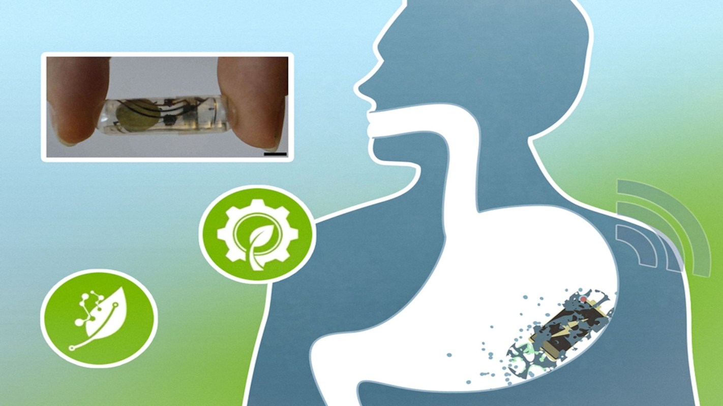 An illustration showing a capsule being held above an outline of a human torso with digital signals and icons.