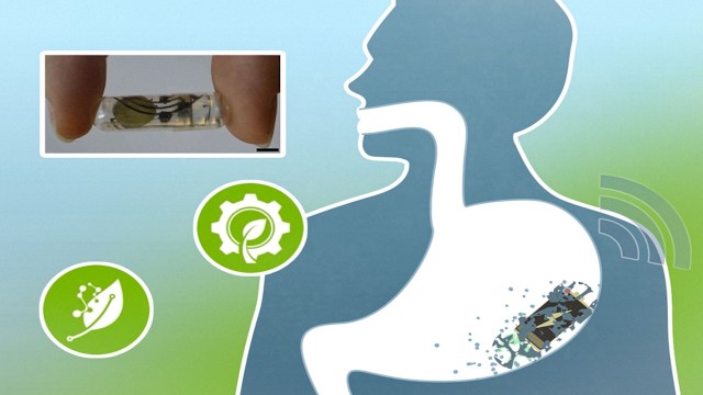An illustration showing a capsule being held above an outline of a human torso with digital signals and icons.