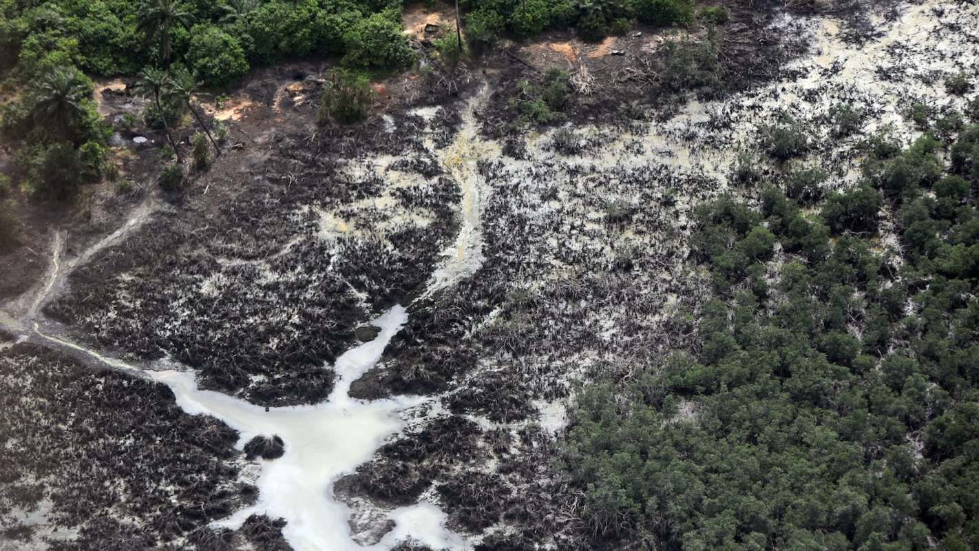 Aerial view of a landscape with mangroves, water channels, and areas of deforested land.
