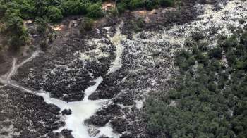 Aerial view of a landscape with mangroves, water channels, and areas of deforested land.