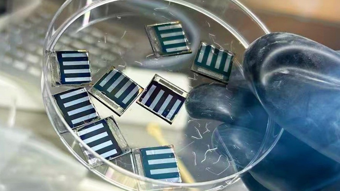 A gloved hand holds a petri dish containing several small solar cell samples.