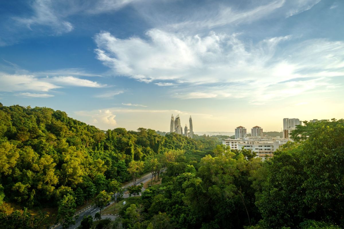 Forested area in Singapore