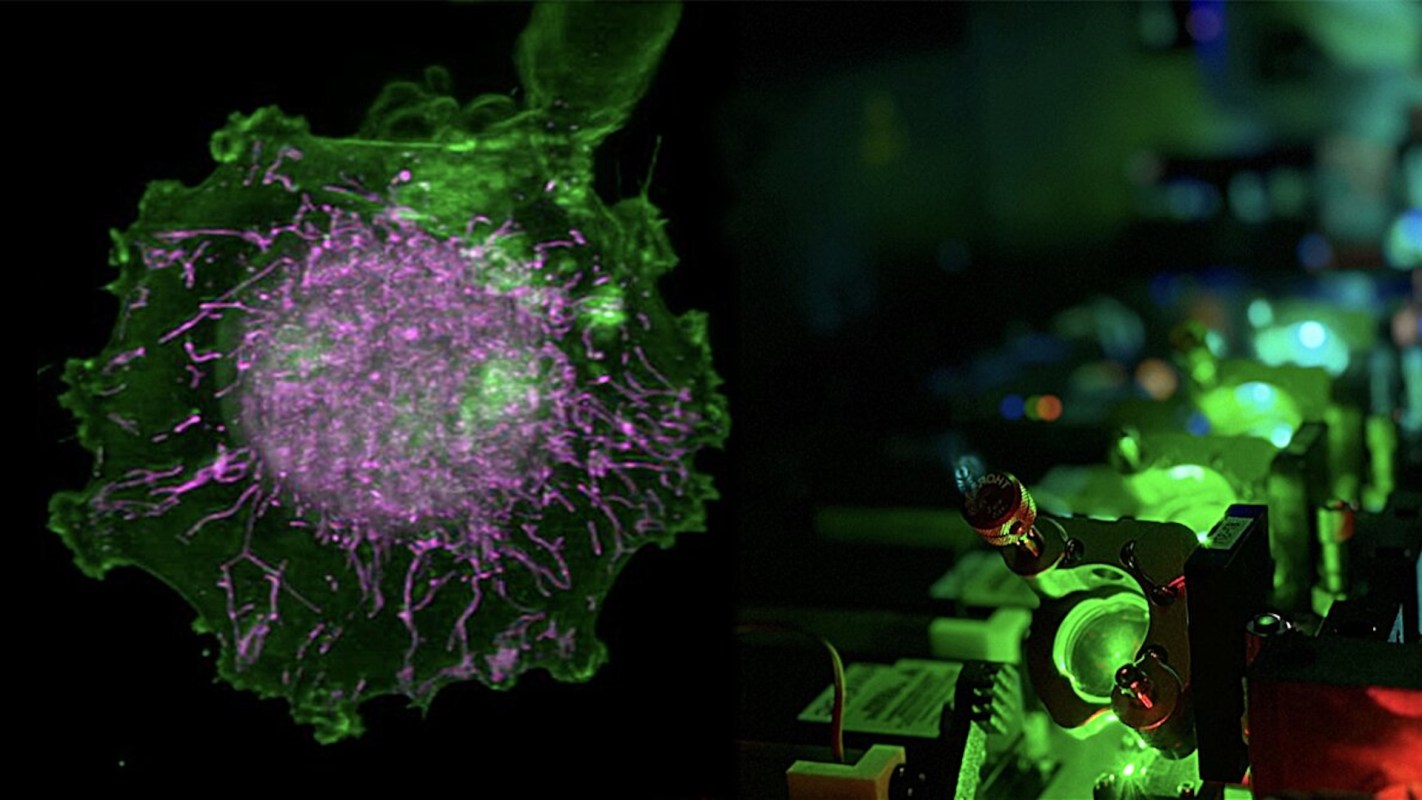 A colorful microscopic image of a cell structure next to illuminated laboratory equipment.