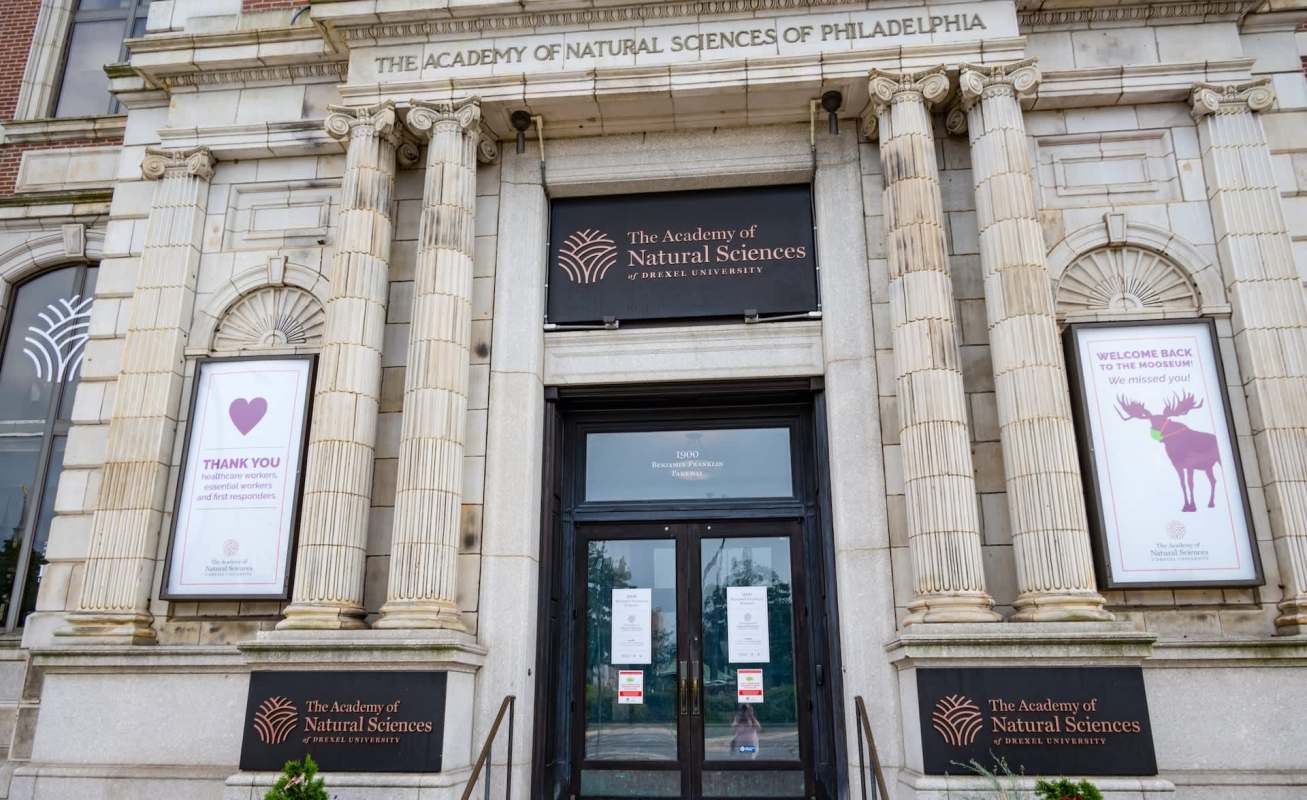 The entrance of the Academy of Natural Sciences in Philadelphia with informational signs and classic architectural columns.