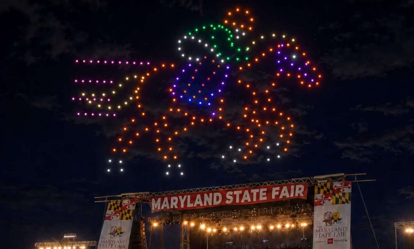 A sheep at the Maryland State Fair.