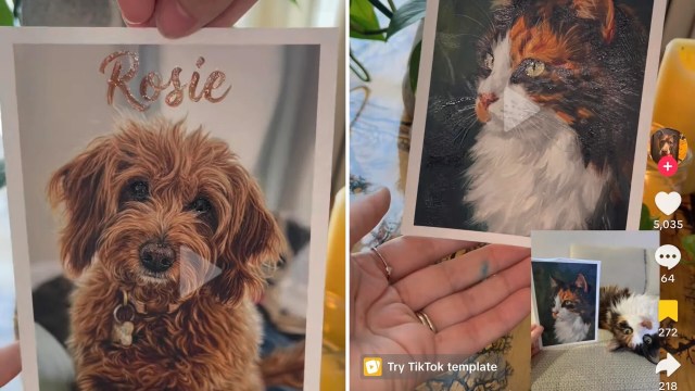 Pet portraits resembling paintings and reportedly made with AI.