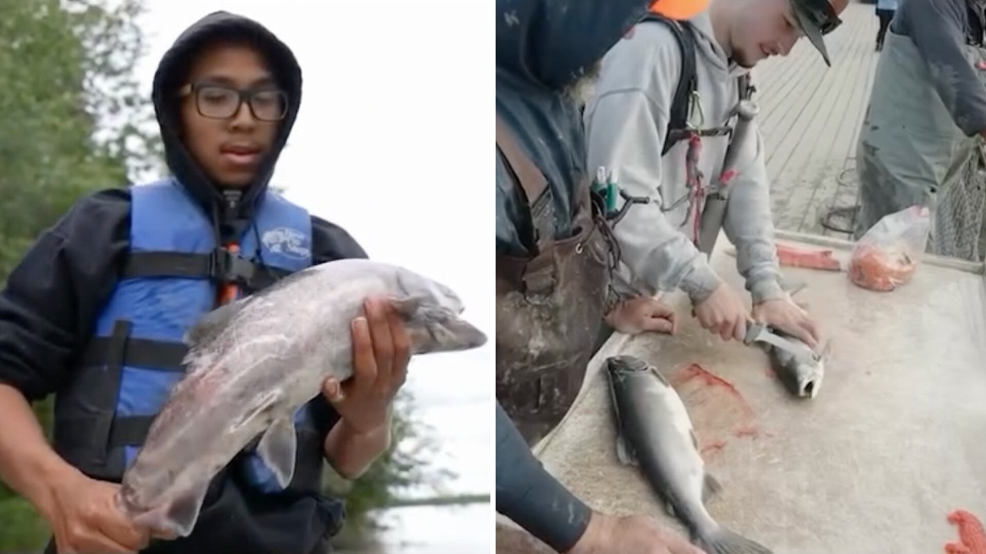 A person holds a fish, while another cuts fish on a table outdoors.