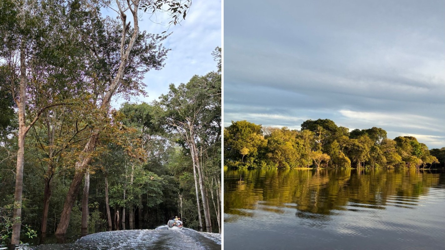 A river surrounded by dense trees with reflections on the water.