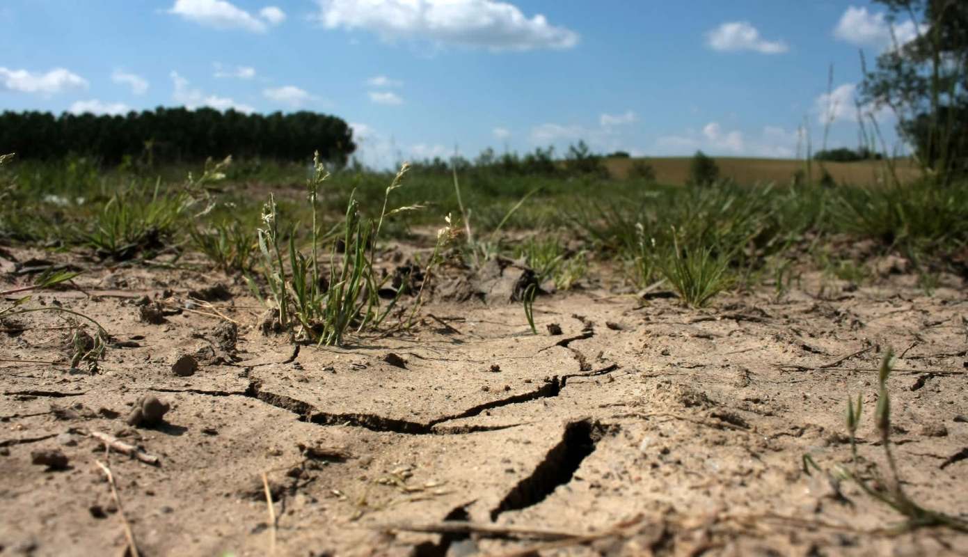 A cracked dry soil with scattered grass and distant trees under a blue sky with clouds.