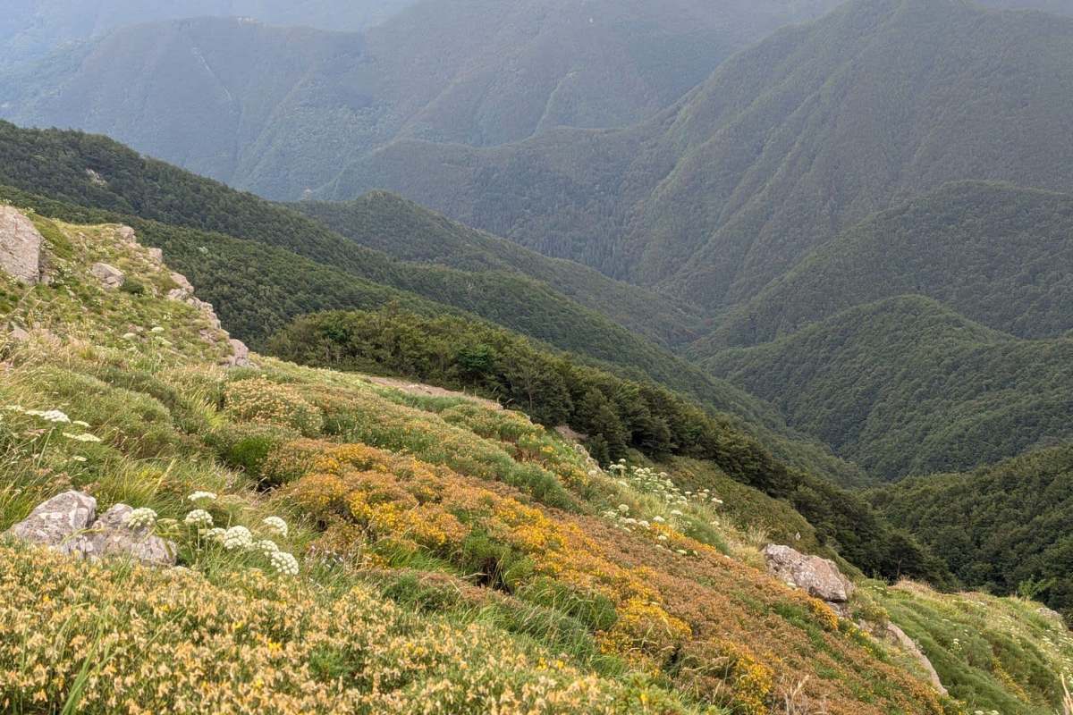 The Apennine Mountains.
