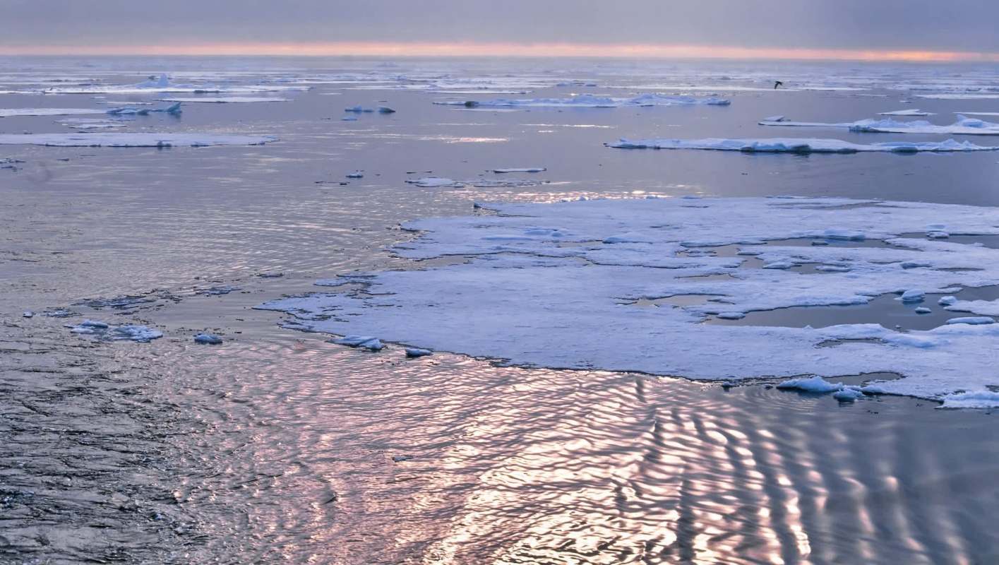 Icebergs and white ice fragments float on water reflecting pale colors at dawn.