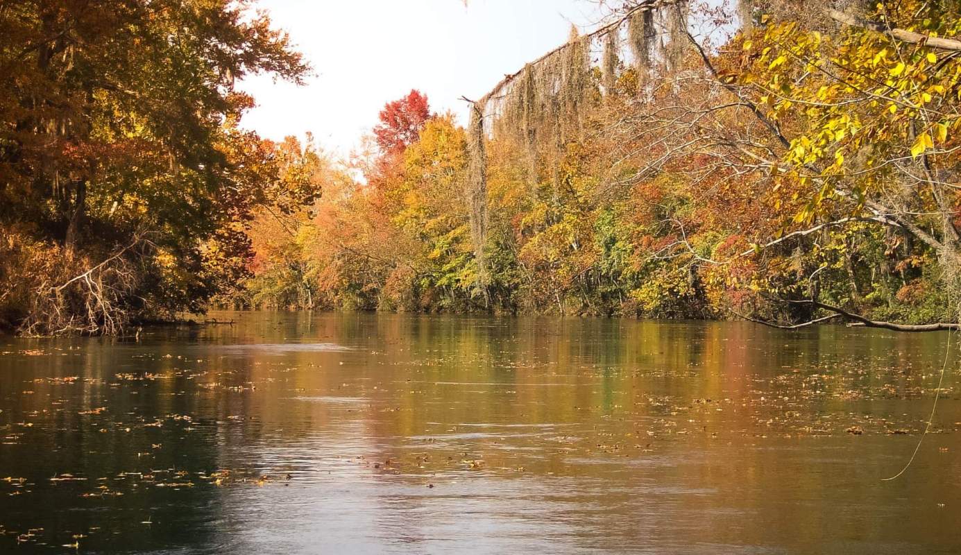 Fall in Augusta, Georgia.