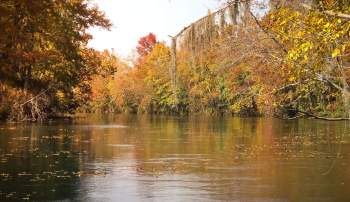 Fall in Augusta, Georgia.