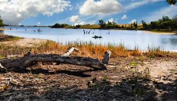 A calm body of water bordered by sandy banks and dry grass, with a lone kayak visible in the distance.