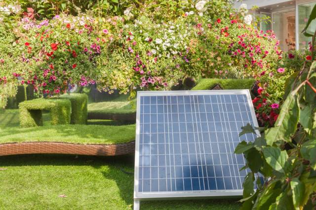 Solar panels in a backyard.